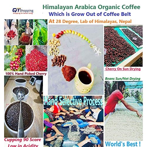 Himalayan Arabica Dark Roasted Coffee Beans Grow On Sun Shade Ha