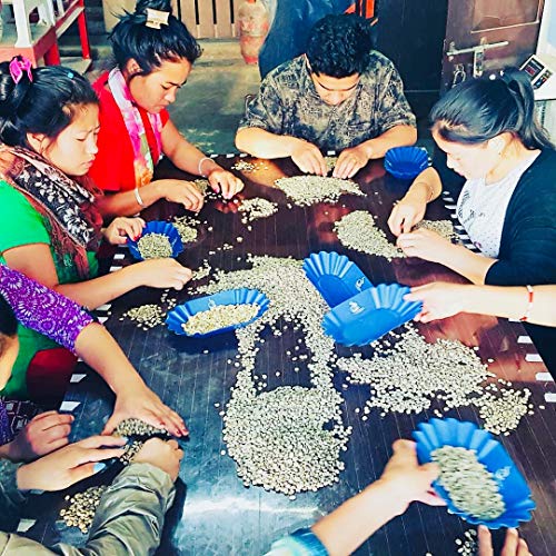 Himalayan Arabica Dark Roasted Coffee Beans Grow On Sun Shade Ha