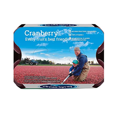 Ocean Spray Cran Apple Jucie 10 fl oz 24 Pack by Qualitatt