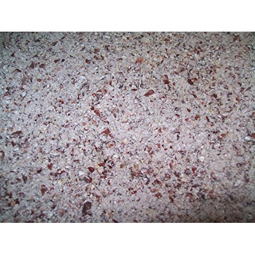 Organic Bloody Butcher Red Cornmeal, Fresh Stone Ground, Farme