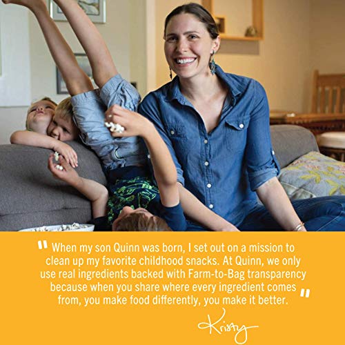 Quinn Whole Grain Touch Of Honey Pretzel Stick, 7 Ounce Bag 4 C