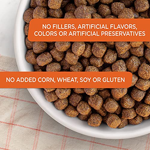 Rachael Ray Nutrish Just 6 Premium Natural Dry Dog Food, Limited