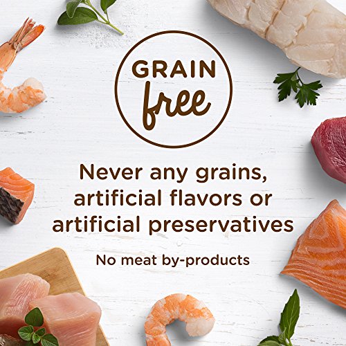 Rachael Ray Nutrish Natural Wet Cat Food, Ocean Fish &Amp; Chicken C