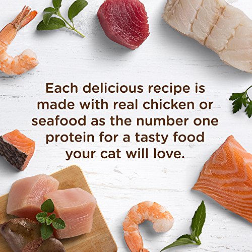 Rachael Ray Nutrish Natural Wet Cat Food, Tuna Purrfection Recip