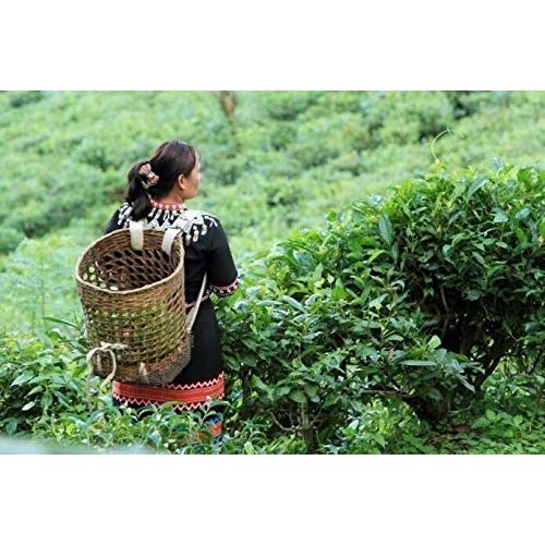 Brand New Traditional Thai Tea Mix 250G., Rosechana Cha Yen Thai