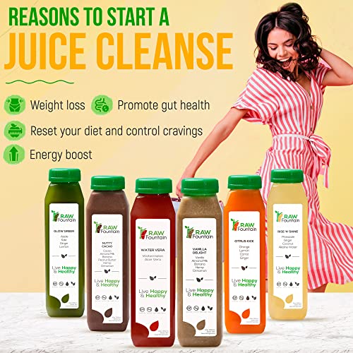 3 Day Protein Juice Cleanse by Raw Fountain, All Natural Raw Det...