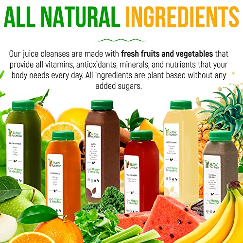 3 Day Protein Juice Cleanse by Raw Fountain, All Natural Raw Det...
