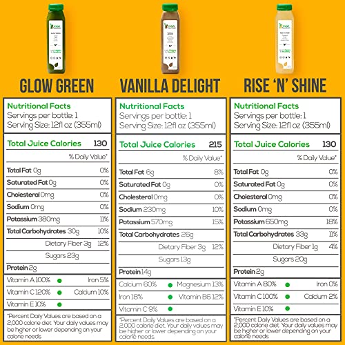 3 Day Protein Juice Cleanse by Raw Fountain, All Natural Raw Det...