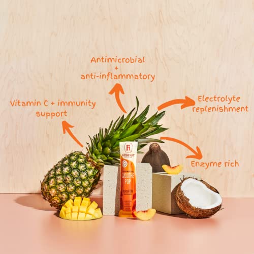 Re-Harvest Provisions Smoothie Pops | Tropical Bliss Recover All...