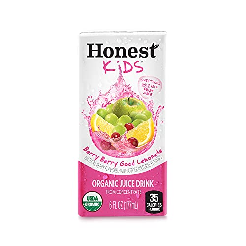 Honest Kids Organic Fruit Juice Drink From Concentrate - Variety