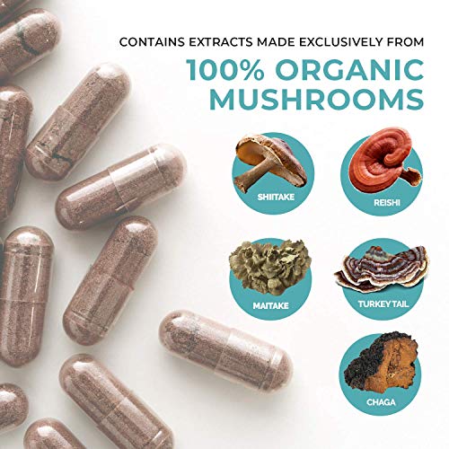 Chaga, Shiitake, Maitake, Turkey Tail, &Amp; Reishi Mushroom - 5 Def