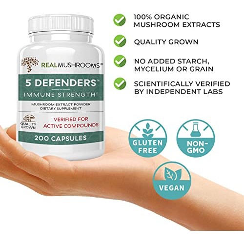 Chaga, Shiitake, Maitake, Turkey Tail, &Amp; Reishi Mushroom - 5 Def