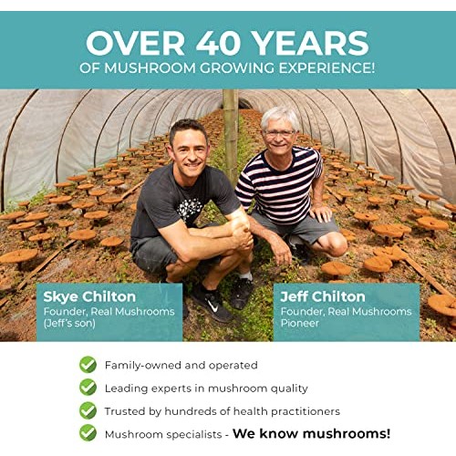 Chaga, Shiitake, Maitake, Turkey Tail, &Amp; Reishi Mushroom - 5 Def