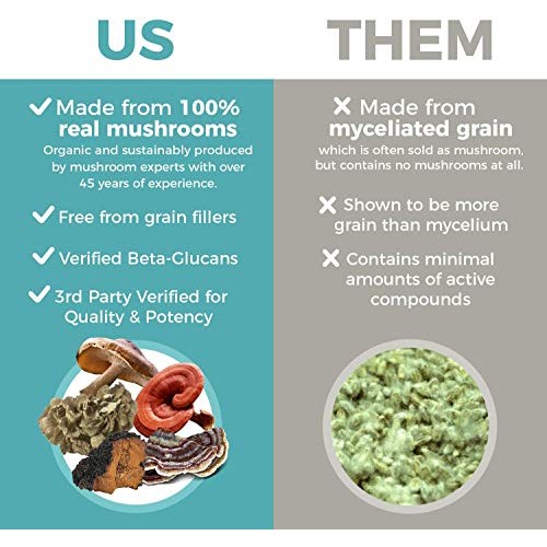 Chaga, Shiitake, Maitake, Turkey Tail, &Amp; Reishi Mushroom - 5 Def