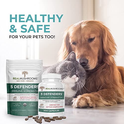 Chaga, Shiitake, Maitake, Turkey Tail, &Amp; Reishi Mushroom - 5 Def