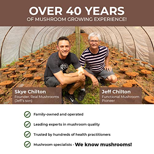 Real Mushrooms Organic Hot Chocolate Mix w/ 5 Defenders Turkey ...