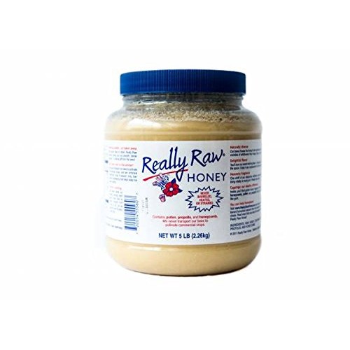 Really Raw Honey 5 Pound Jar