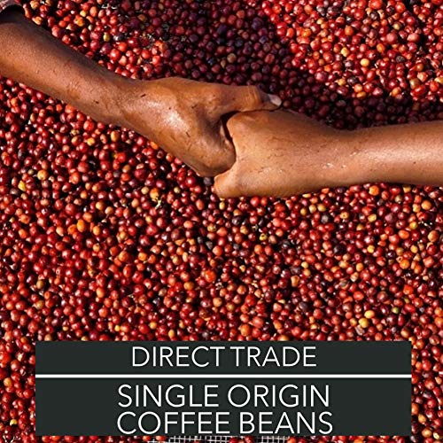 Red Bay Coffee Kings Prize Ethiopian Coffee Beans - Medium Roas