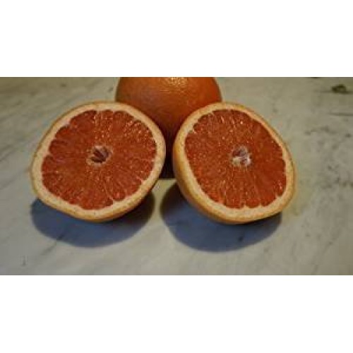 Red Grapefruit Fresh Produce Fruit Vegetables 5 Lbs