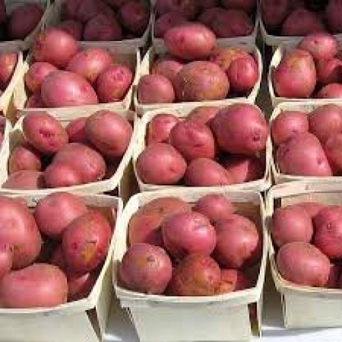 Potatoes Red Fresh Produce 5 Lbs