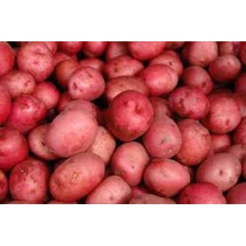 Potatoes Red Fresh Produce 5 Lbs