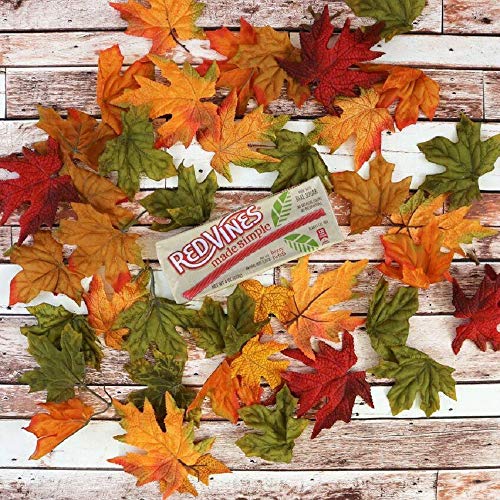 Red Vines Made Simple Licorice Twists, 4Oz Tray  9 Pack, Mixed