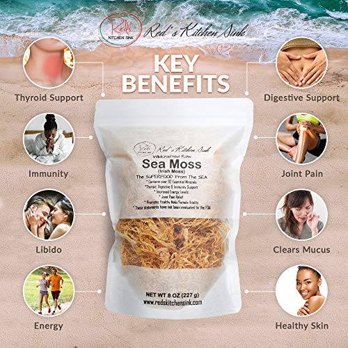 Wildcrafted Sea Moss/Irish Moss - 100% Natural, Makes 240+ Oz Of