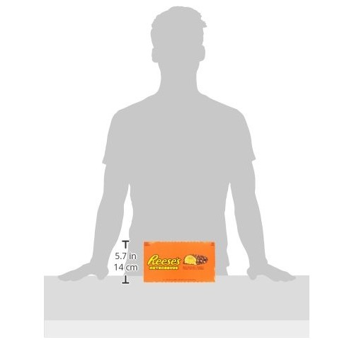 Reeses Nutrageous Chocolate Peanut Butter Candy Bar Pack Of 18