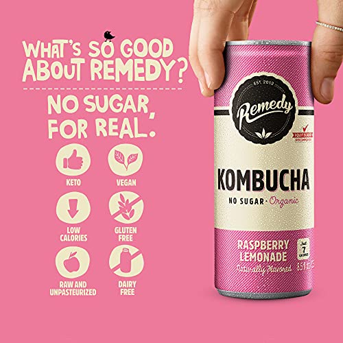 Remedy Raw Organic Kombucha Tea - Sparkling Live Cultured Drink