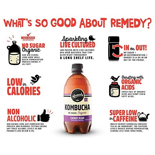 Remedy Raw Organic Kombucha - Sparkling Live Cultured Drink - Su