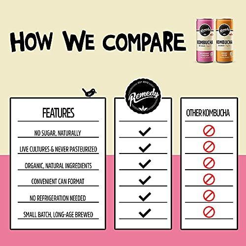 Remedy Raw Organic Kombucha Tea - Sparkling Live Cultured Drink