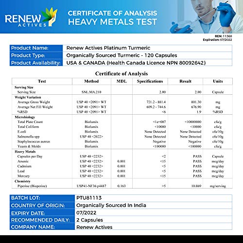 Renew Actives Turmeric Curcumin Supplement: Extra Strength Turme