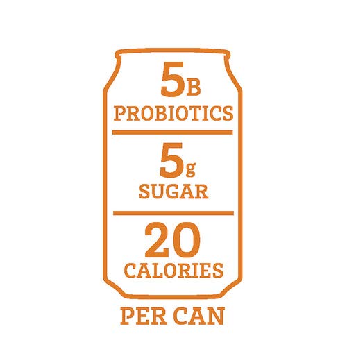 Revive Organic Kombucha Variety Pack - No Refrigeration Required