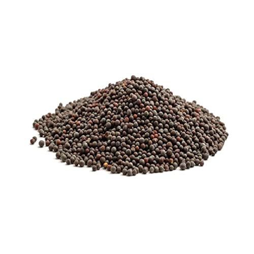 SPICED Brown Mustard Seed, 12 Oz of Whole Brown Mustard Seed in ...