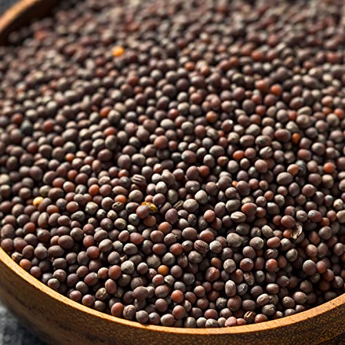 SPICED Brown Mustard Seed, 12 Oz of Whole Brown Mustard Seed in ...
