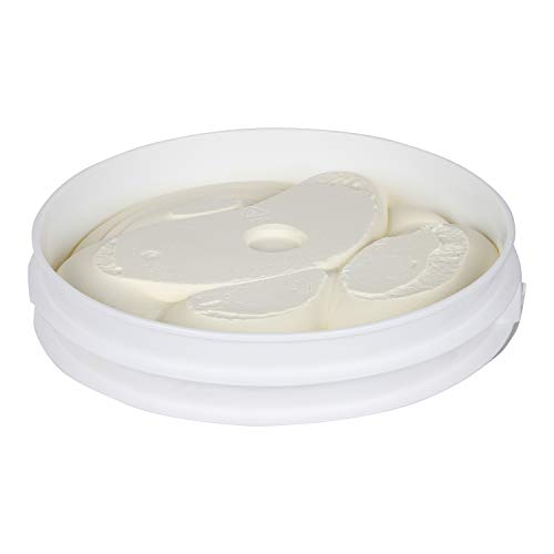 Richs JW Allen Cake Icing Ideal for Cakes & Cookies, Carrot, 24...