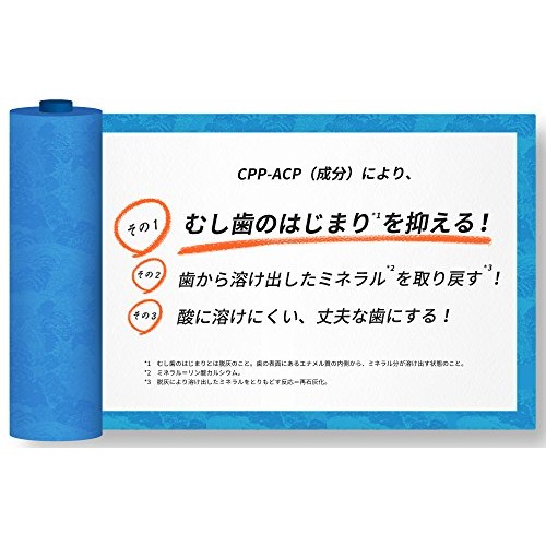 [Tokuho] Monderizu Japan Rikarudento Grape Mint Gum Bottle R 140G