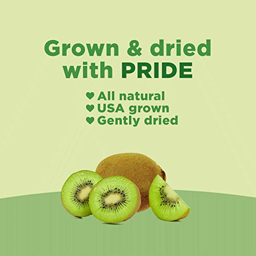 Rind Snacks Tangy Kiwi Dried Fruit Superfood, High Fiber, Vegan,