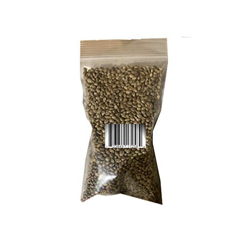 Ripkitty Premium 20G Whole Hemp Seeds, Kosher, Vegan, Allergen-F