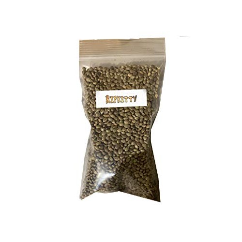 Ripkitty Premium 20G Whole Hemp Seeds, Kosher, Vegan, Allergen-F