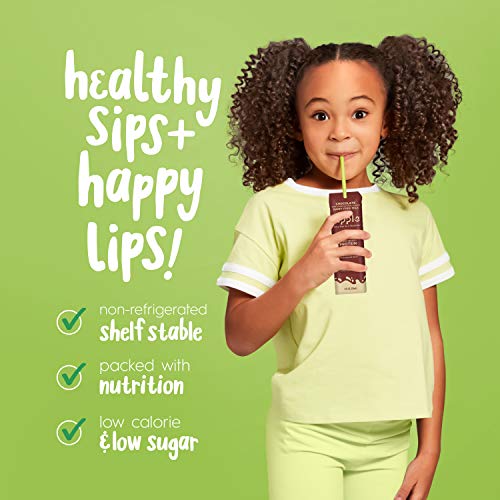 Ripple 8Oz Non-Dairy Milk, Chocolate Pack Of 12 | Vegan Milk W