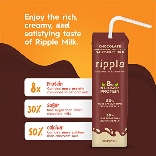 Ripple 8Oz Non-Dairy Milk, Chocolate Pack Of 12 | Vegan Milk W