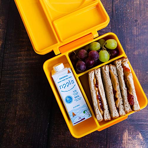 Ripple Non-Dairy Milk, Original | Vegan Milk With 8G Pea Protein