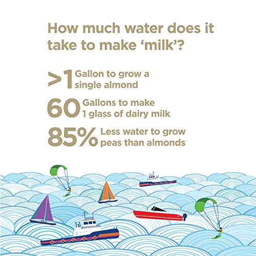 Ripple Non-Dairy Milk, Original | Vegan Milk With 8G Pea Protein