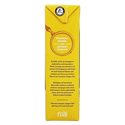 Rishi Tea Bev Turmeric Ginger Chai Con, 32 Oz, Packaging May Vary
