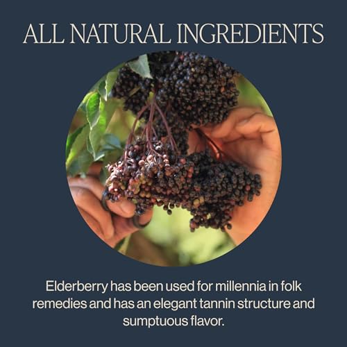 Rishi Tea Elderberry Healer Herbal Tea | USDA Organic Direct Tra...
