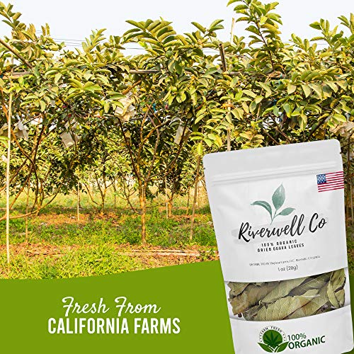 Organic Dried Whole Guava Leaves, Natural Guava Tea, Loose Leaf ...