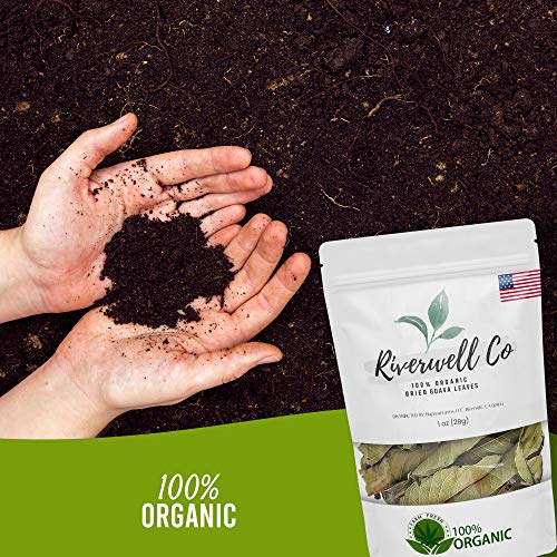 Organic Dried Whole Guava Leaves, Natural Guava Tea, Loose Leaf ...