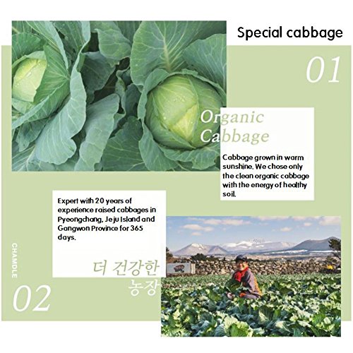 Organic Cabbage Juice Packs 60 Packs [100Ml]/Gift/Health Food/Dr