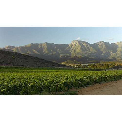 Robertson Winery Non Alcoholic Sweet S